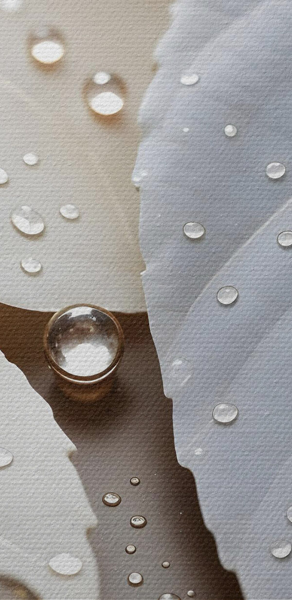 Nature's delicate droplets on leaves