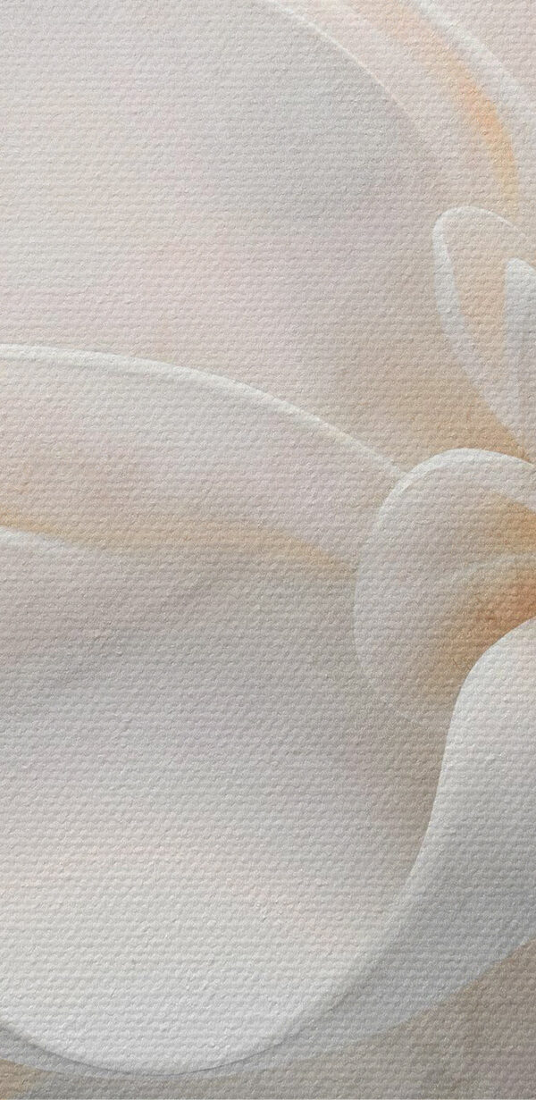 Zarte Schichten von floraler Schönheit Zarte Schichten von floraler Schönheit