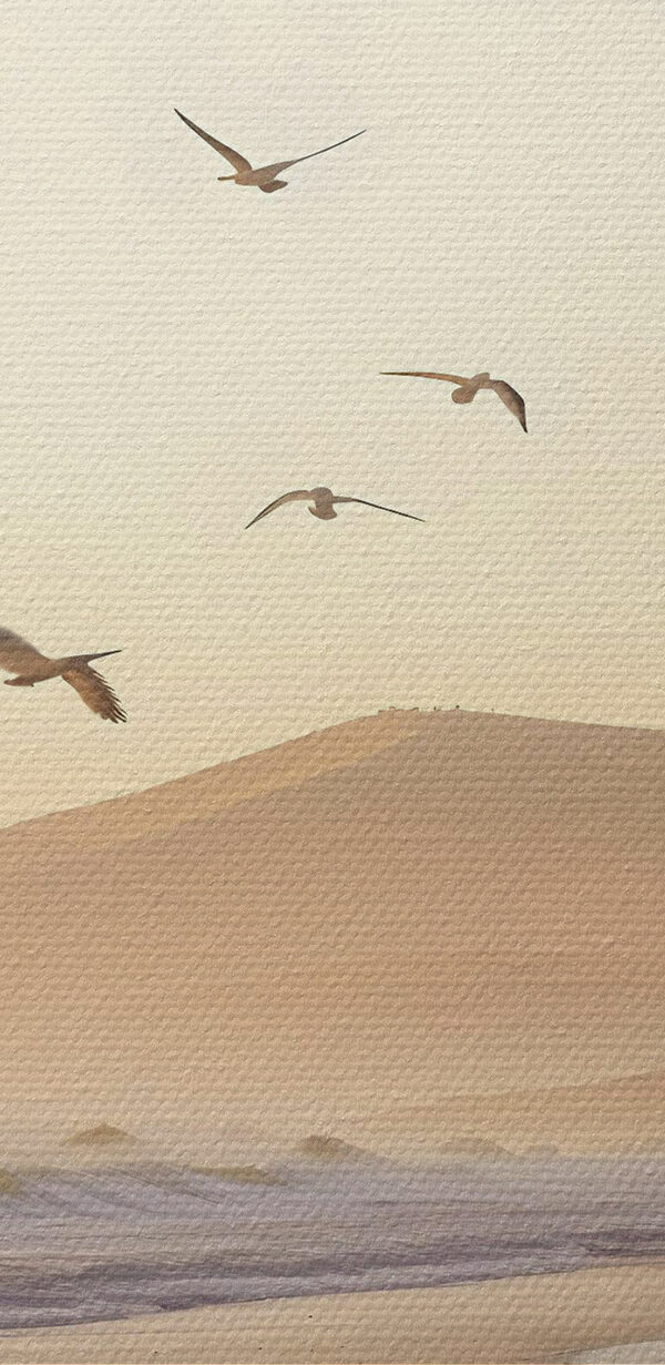 Vögel fliegen über einen Strand Vögel fliegen über einen Strand
