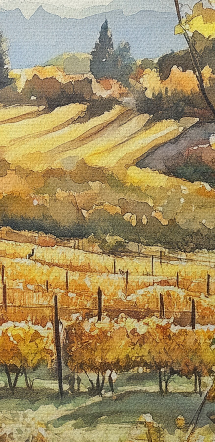 Fenster mit Blick auf einen Weinberg und ein Glas Marmelade Fenster mit Blick auf einen Weinberg und ein Glas Marmelade