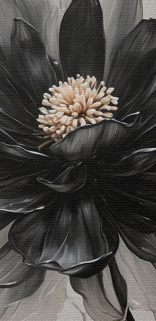 Black and white flower Black and white flower