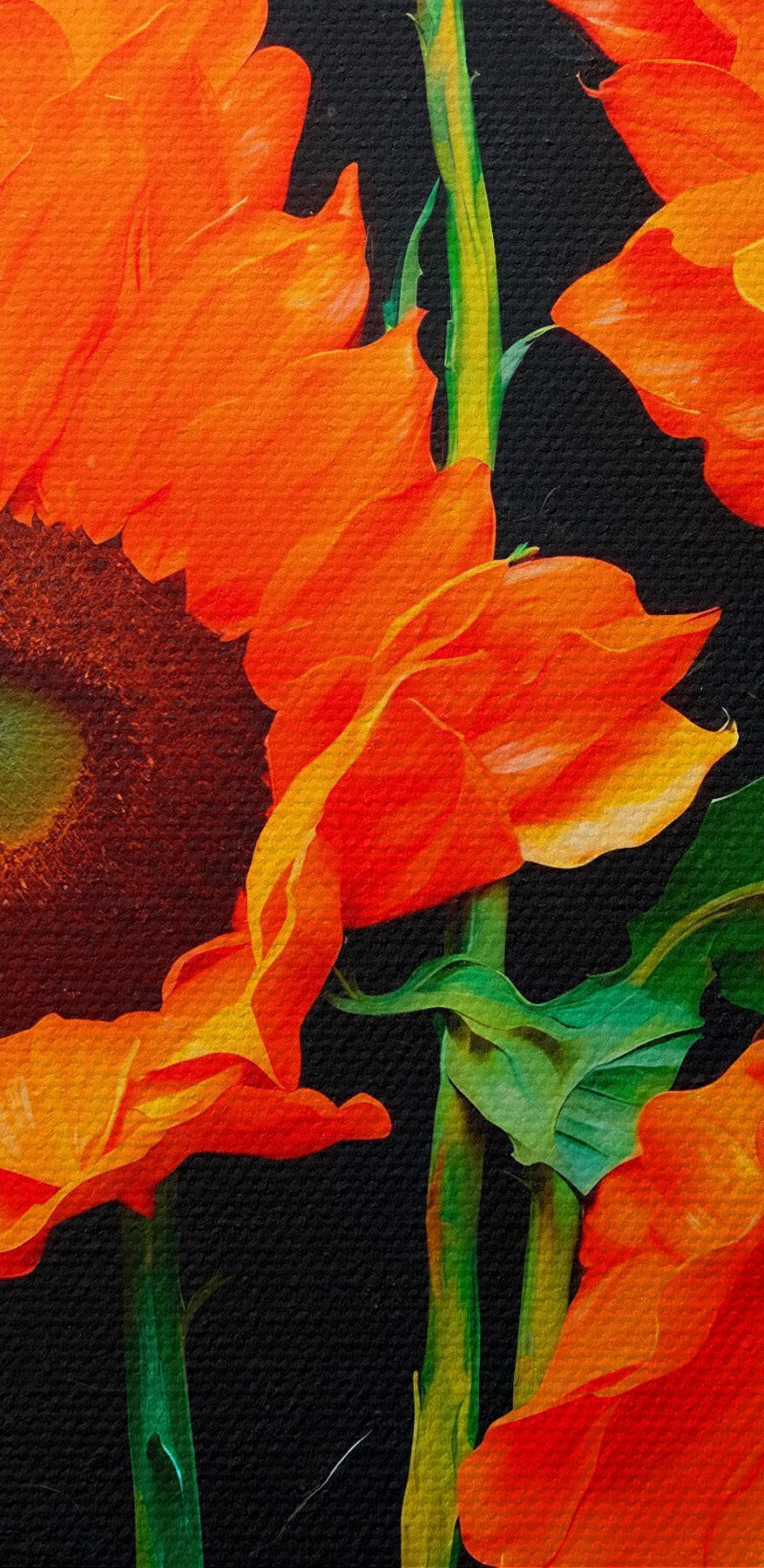 Gruppe von orangefarbenen Blumen