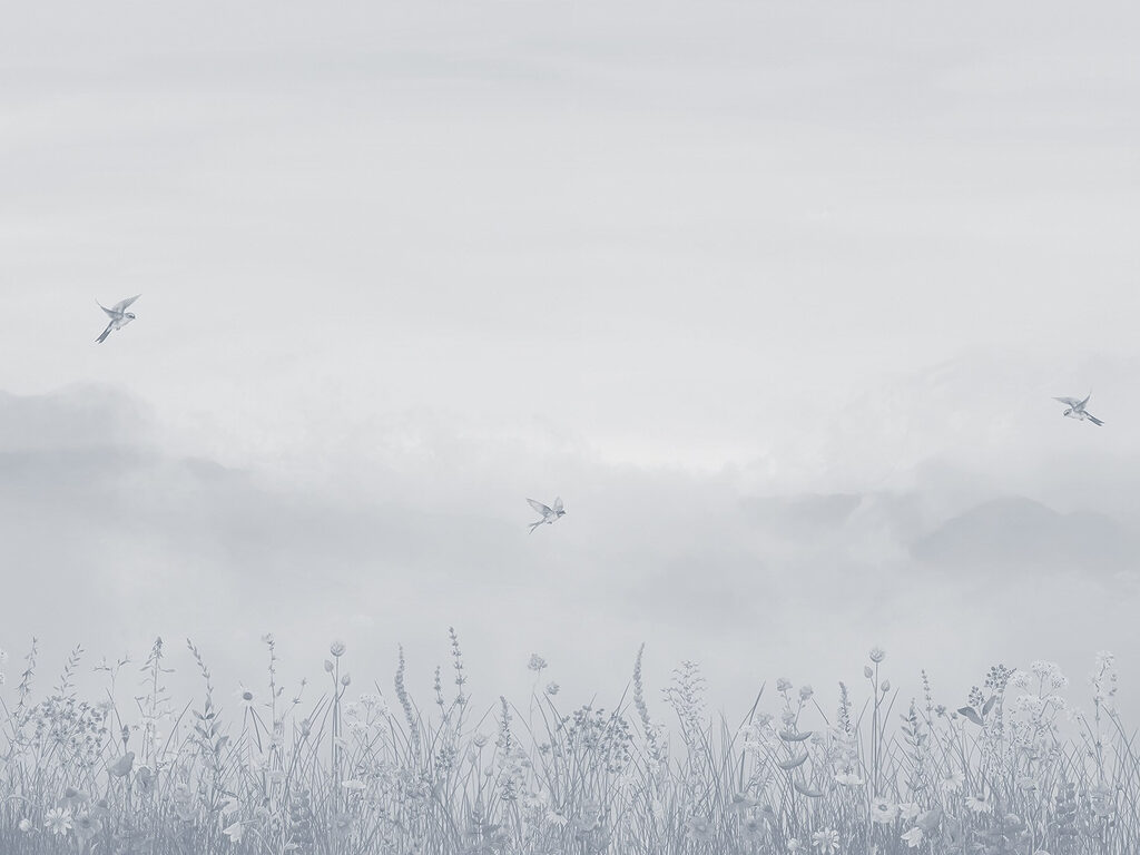 Bird flying over a field of flowers