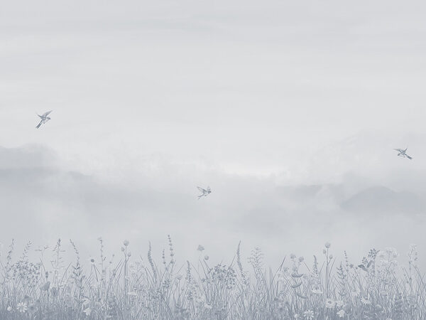 Bird flying over a field of flowers