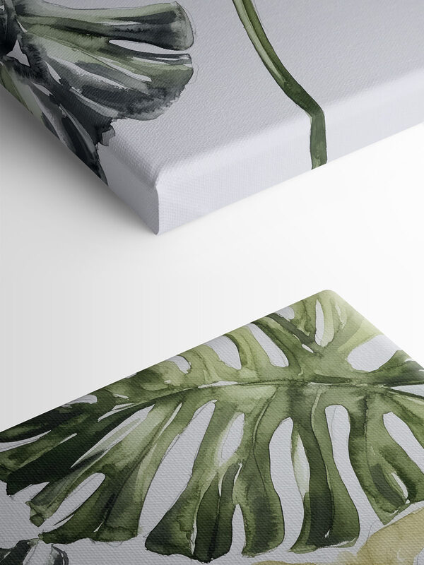 Group of leaves on a white background