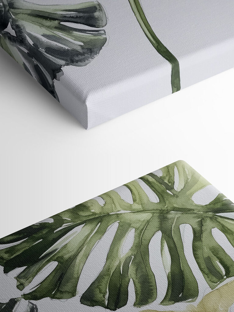 Group of leaves on a white background