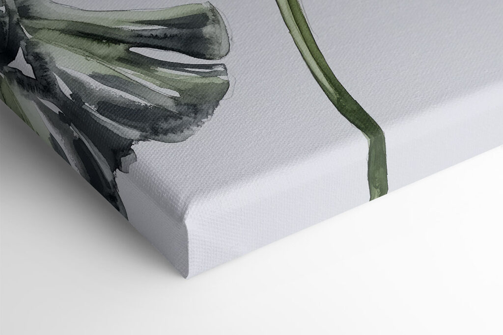 Group of leaves on a white background