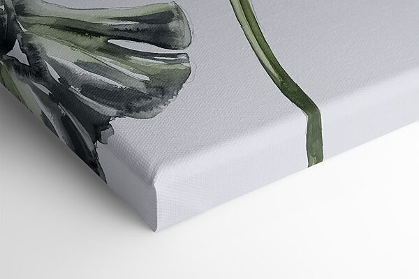 Group of leaves on a white background