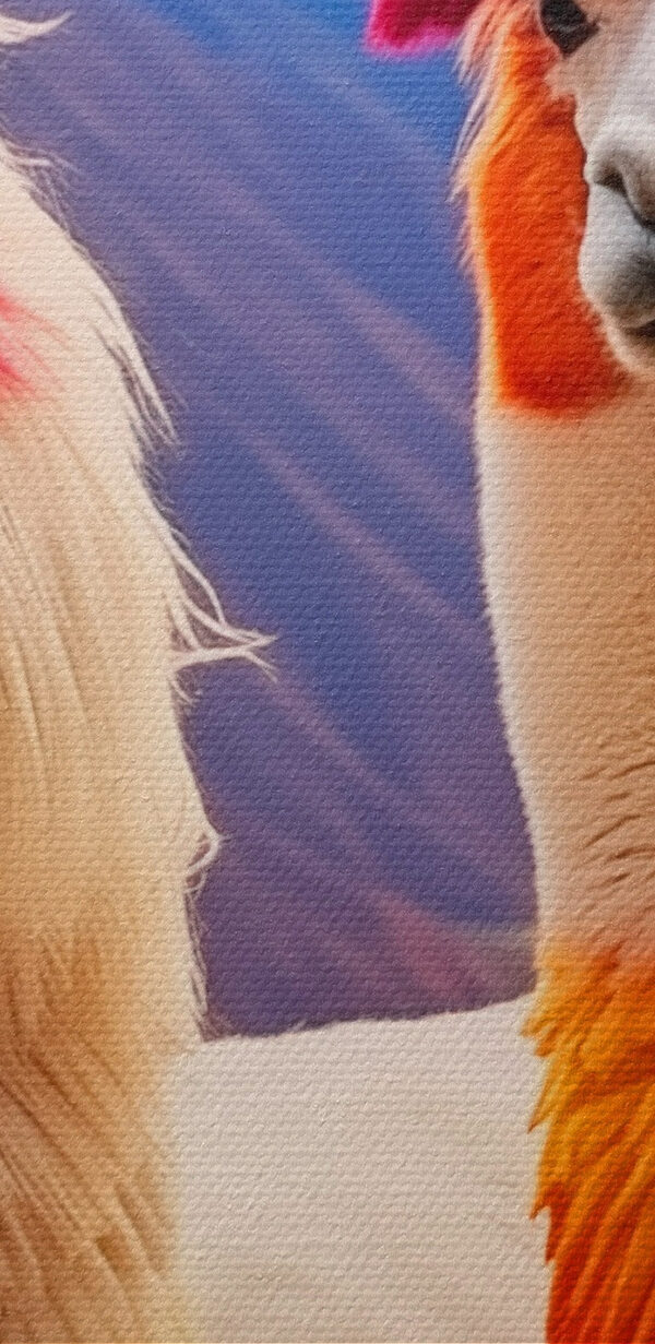 Zwei Lamas mit regenbogenfarbenem Haar Zwei Lamas mit regenbogenfarbenem Haar