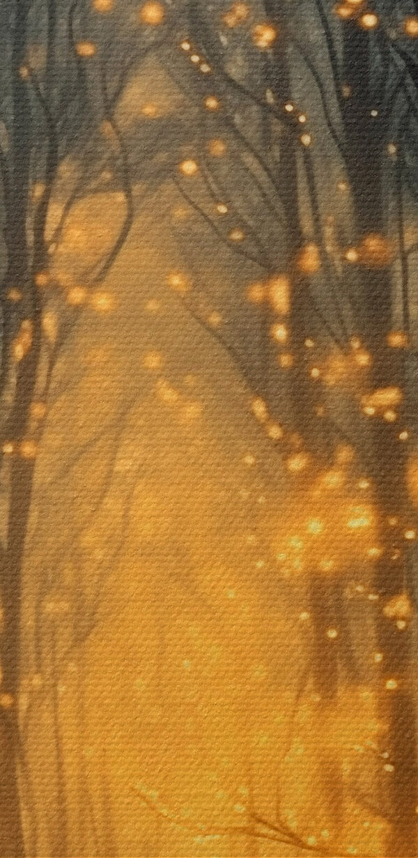 Weg durch einen Wald mit vielen Bäumen mit Lichtern Weg durch einen Wald mit vielen Bäumen mit Lichtern