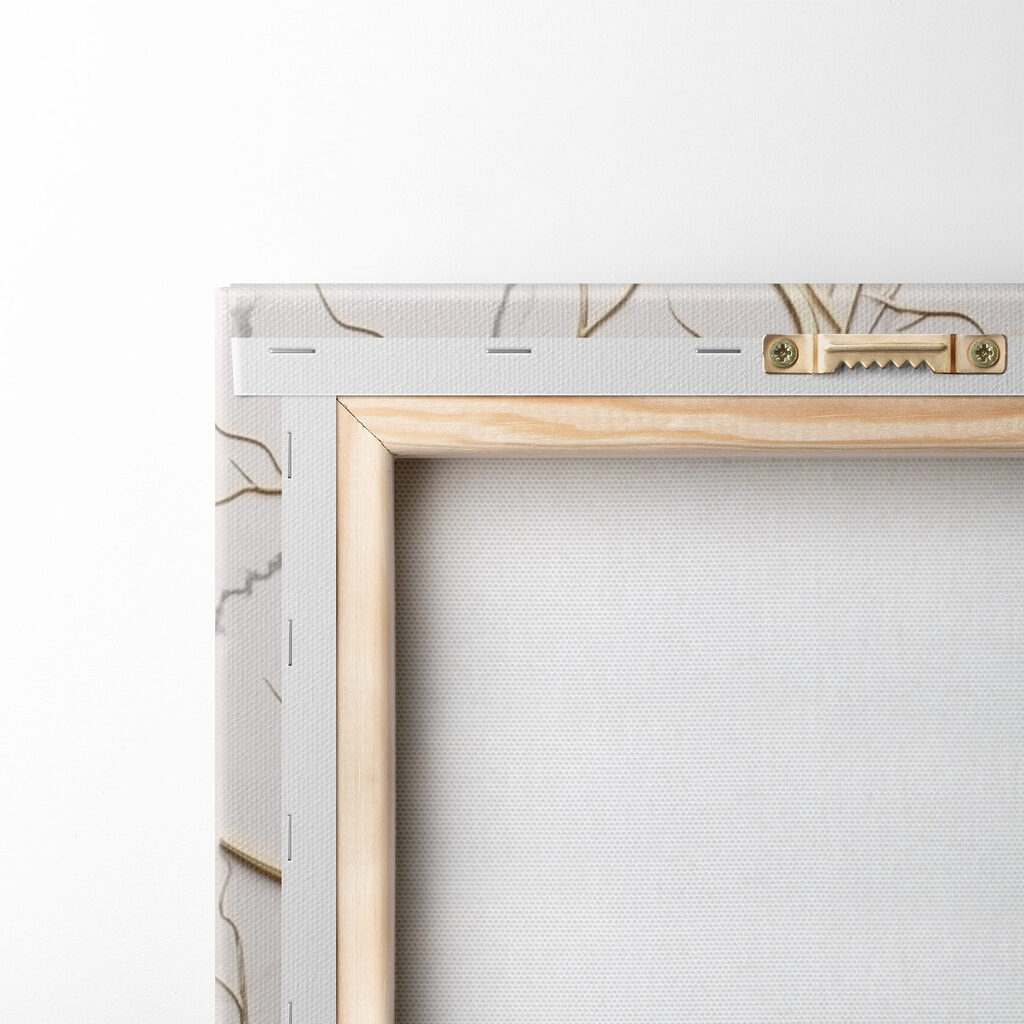 Elegant tree branches on marble backdrop