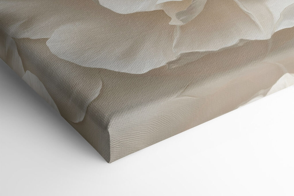 Delicate petals in soft hues Delicate petals in soft hues