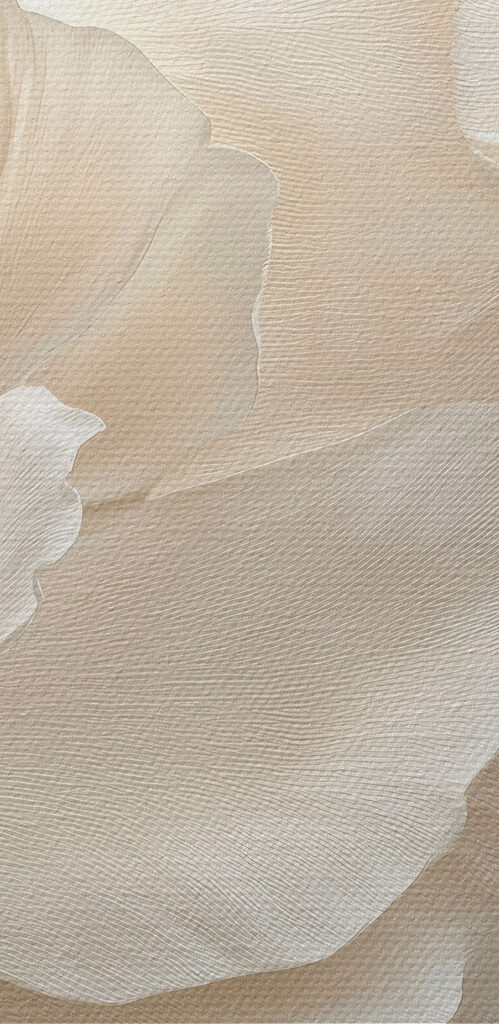 Delicate petals in soft hues Delicate petals in soft hues