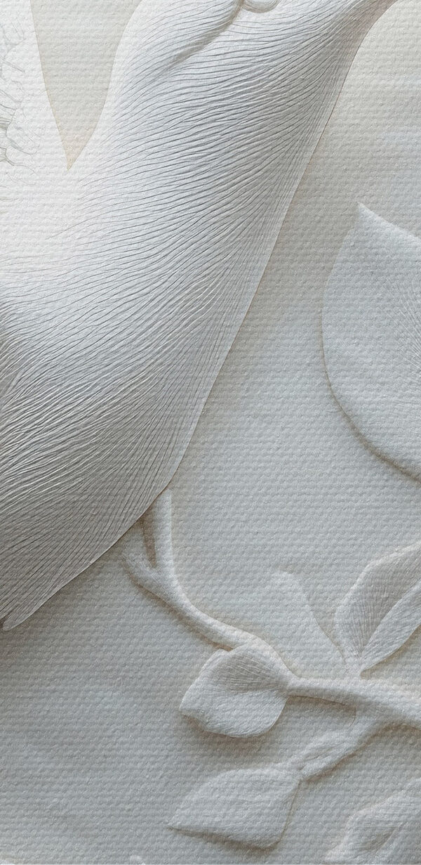 White bird and flower White bird and flower