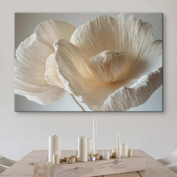 Wandbilder Wandbilder Zarte, strukturierte Blütenblätter ausgestellt (Artikelnummer: s43332)