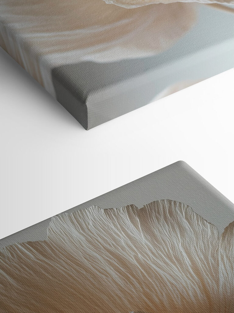 Delicate textured flower petals displayed