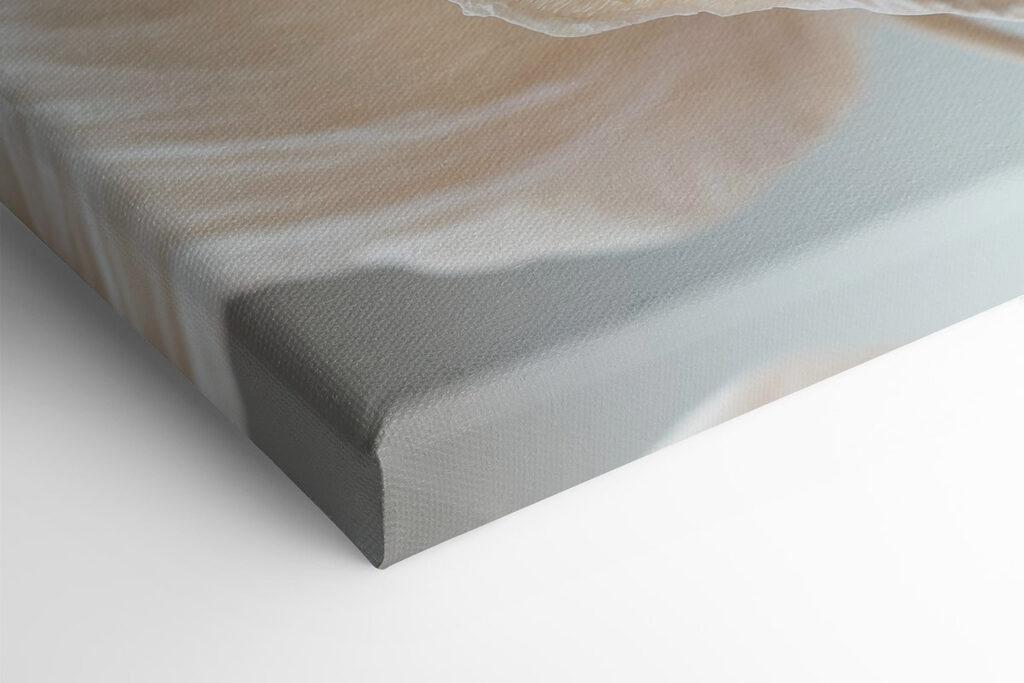 Delicate textured flower petals displayed