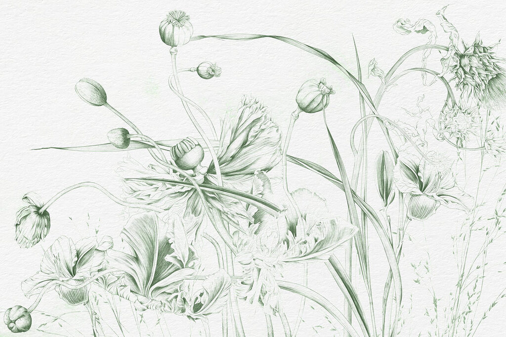 Zeichnung von Blumen und Blättern Zeichnung von Blumen und Blättern