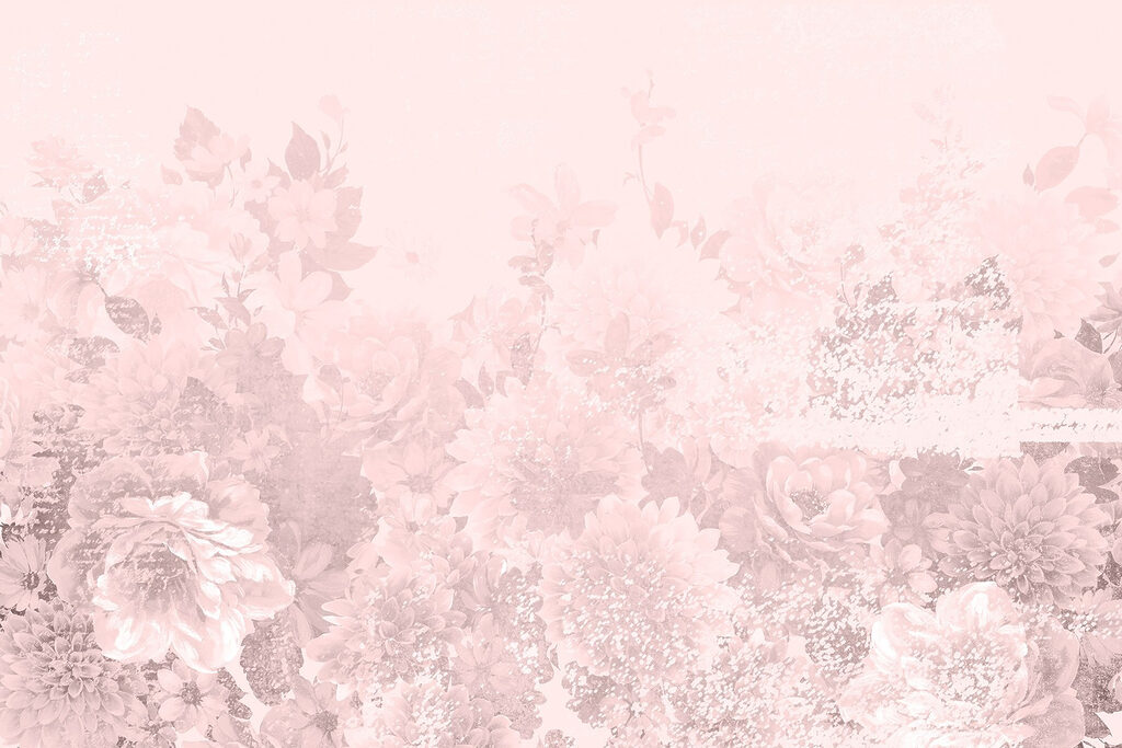 Gruppe von Blumen auf einem weißen Hintergrund Gruppe von Blumen auf einem weißen Hintergrund