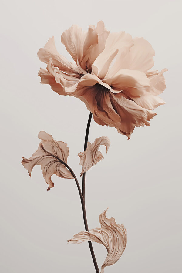 Flower with dried leaves