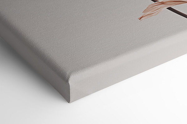 Flower with dried leaves