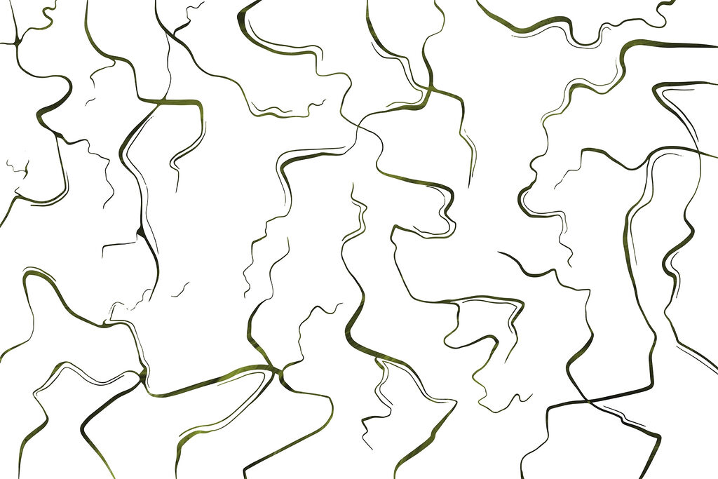 Flowing lines on a white canvas Flowing lines on a white canvas