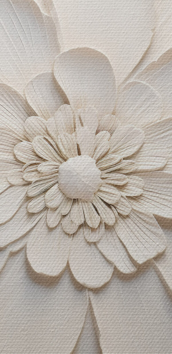 Weiße Blume mit vielen Blütenblättern Weiße Blume mit vielen Blütenblättern
