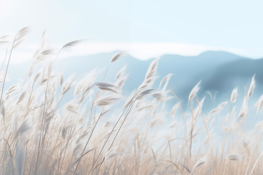 Gentle breezes through tall grass