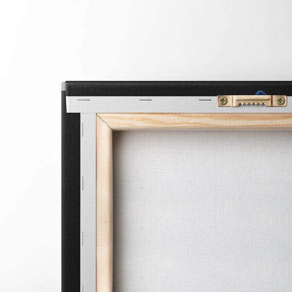 Translucent flowers on a dark background