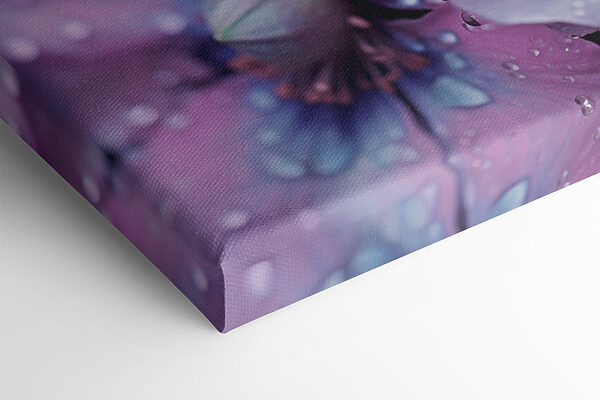 Delicate flowers adorned with water droplets