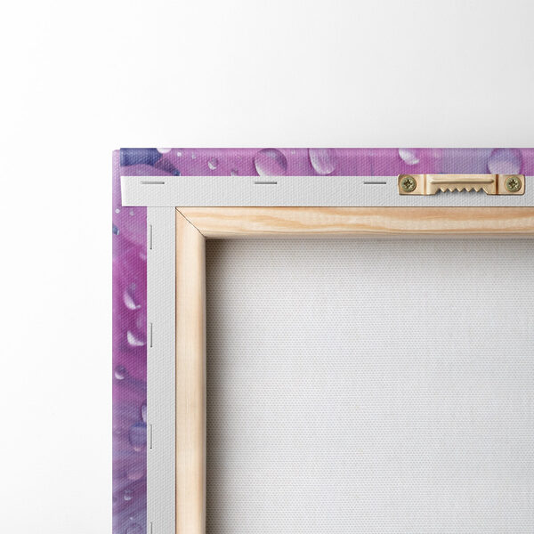 Delicate flowers adorned with water droplets