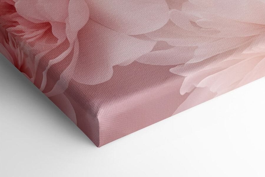 Gruppe von rosa Blumen