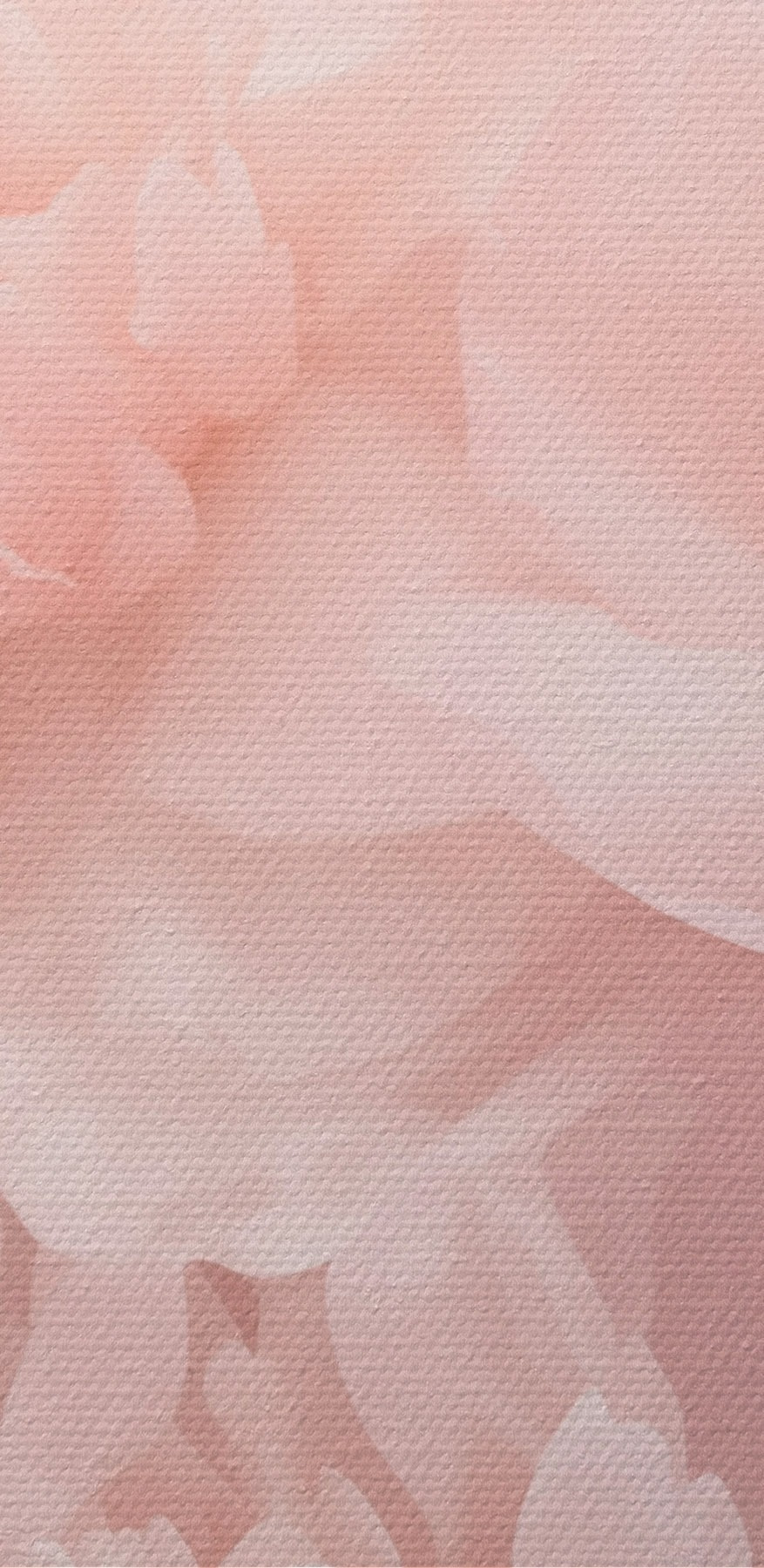 Gruppe von rosa Blumen