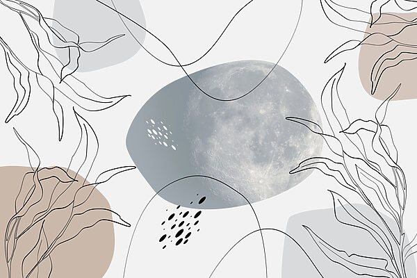 Mond und Pflanzen auf einem weißen Hintergrund Mond und Pflanzen auf einem weißen Hintergrund