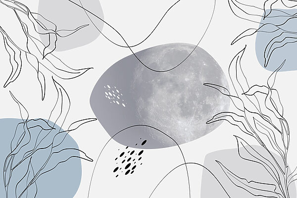Mond und Pflanzen auf einem weißen Hintergrund Mond und Pflanzen auf einem weißen Hintergrund