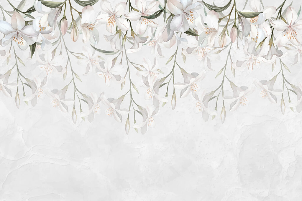 Weiße Blumen auf weißem Hintergrund Weiße Blumen auf weißem Hintergrund