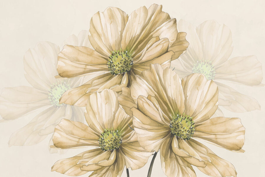 Gruppe von Blumen mit grüner Mitte