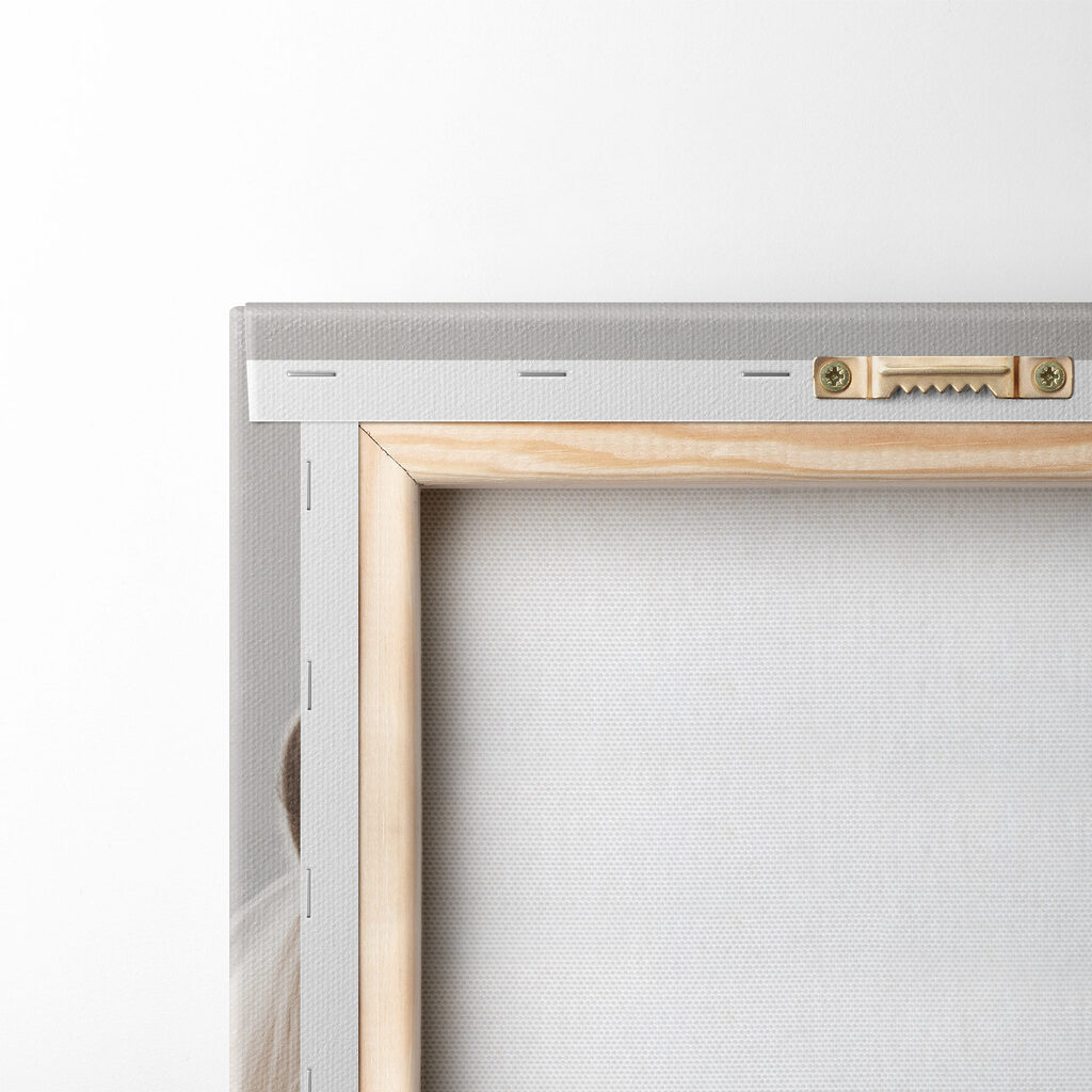 Two horses with their heads together