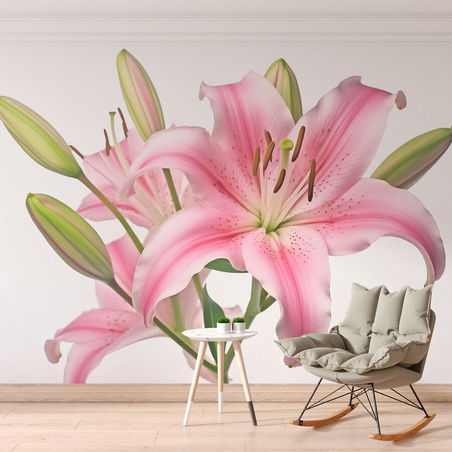 Rosa Lilie mit Knospen