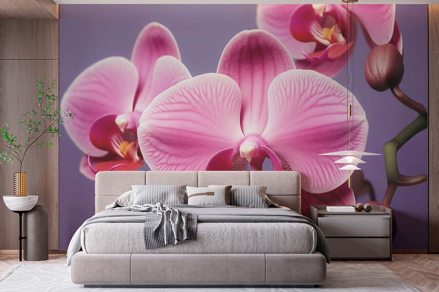 Zarte Orchideen in sanften Farbtönen