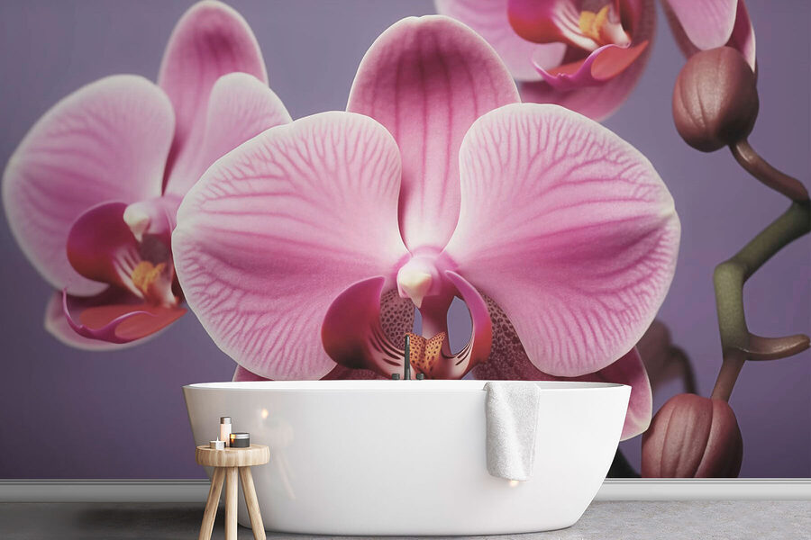 Zarte Orchideen in sanften Farbtönen
