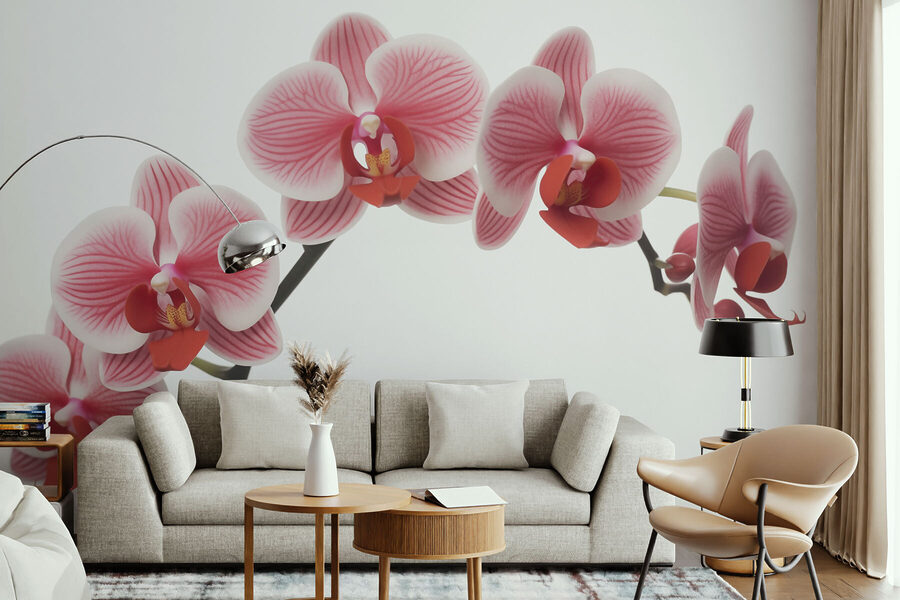 Zarte Orchideen in sanfter Blüte