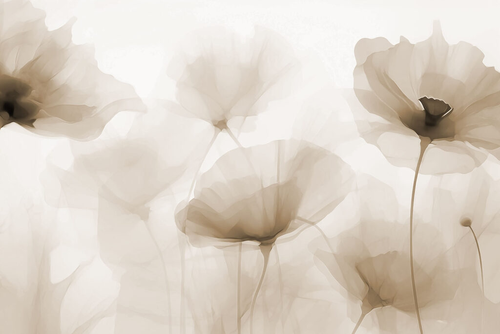 Gruppe von Blumen auf einem weißen Hintergrund Gruppe von Blumen auf einem weißen Hintergrund