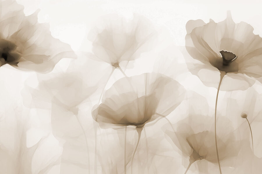 Gruppe von Blumen auf einem weißen Hintergrund