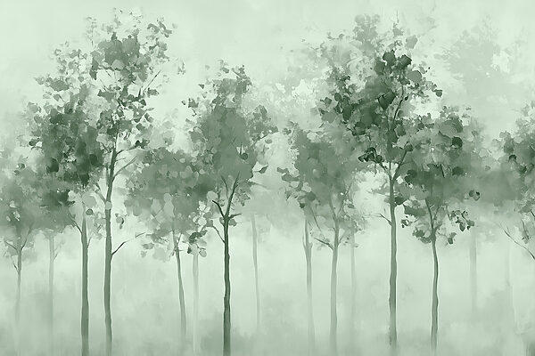 Baumgruppe im Nebel Baumgruppe im Nebel