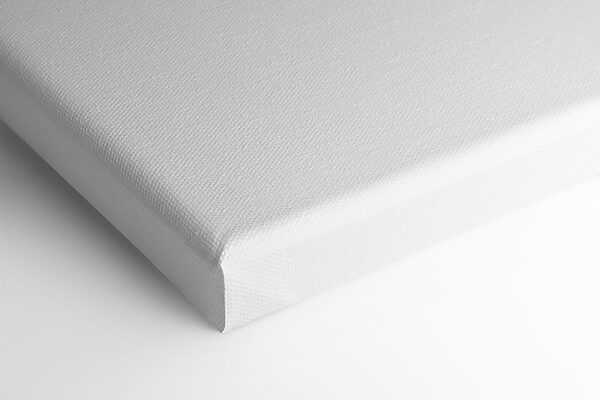 Monkey holding a mug of beer