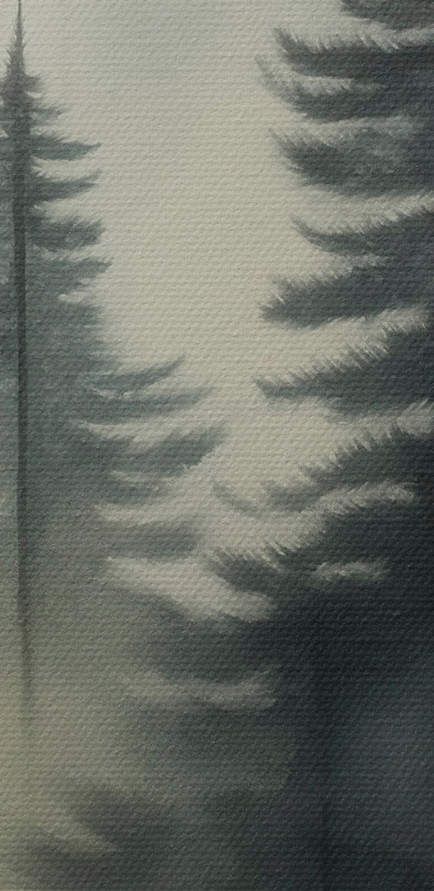 Nebliger Wald mit Bäumen