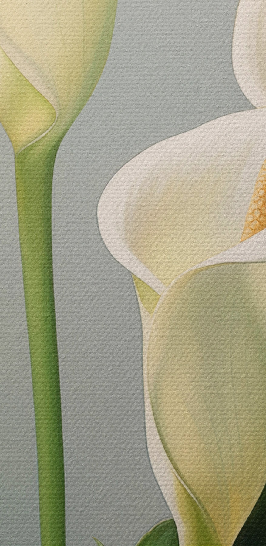 Elegante weiße Blüten in weichem Licht