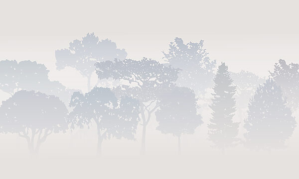 Baumgruppe im Nebel Baumgruppe im Nebel