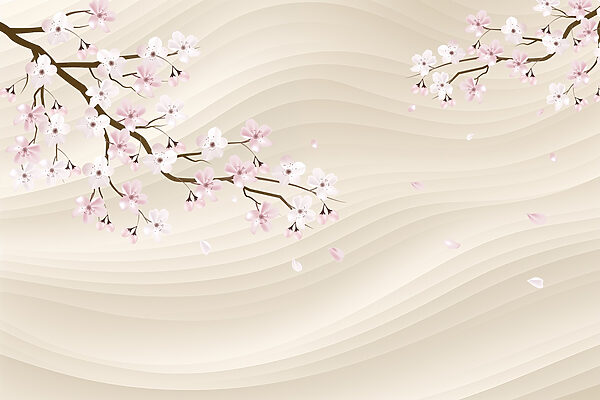 Baumzweig mit weißen und rosa Blüten Baumzweig mit weißen und rosa Blüten